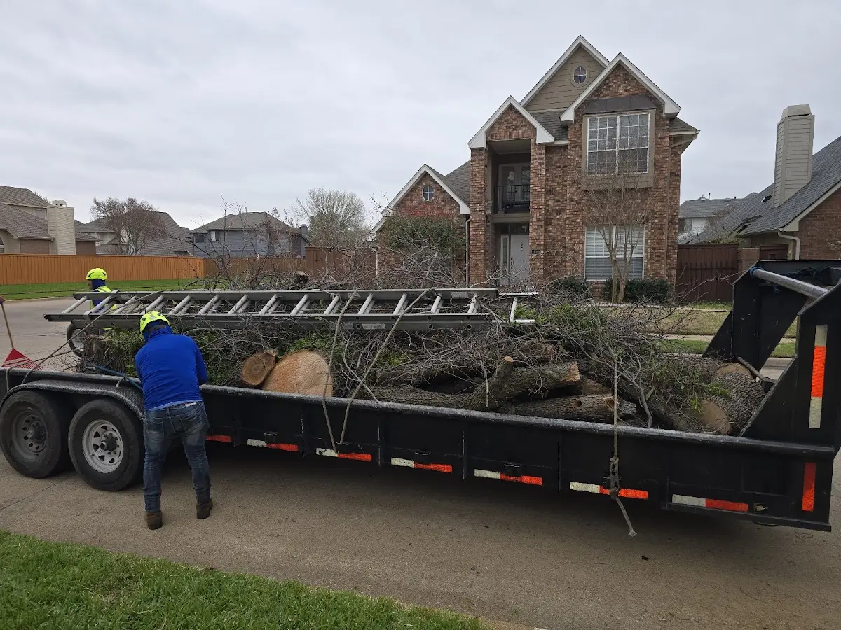 Expert Lot Clearing with proper safety equipment in Morton
